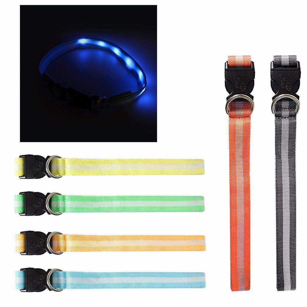 LED Light Up Dog Collar With Buckle Assorted Colours 2255