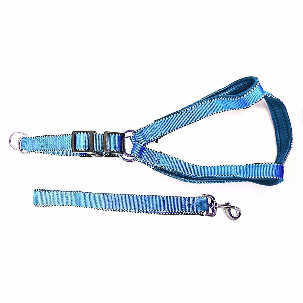 Nylon Bright Lightweight & Reflective Dog Leash With Extra Strong Harness Pet 4617