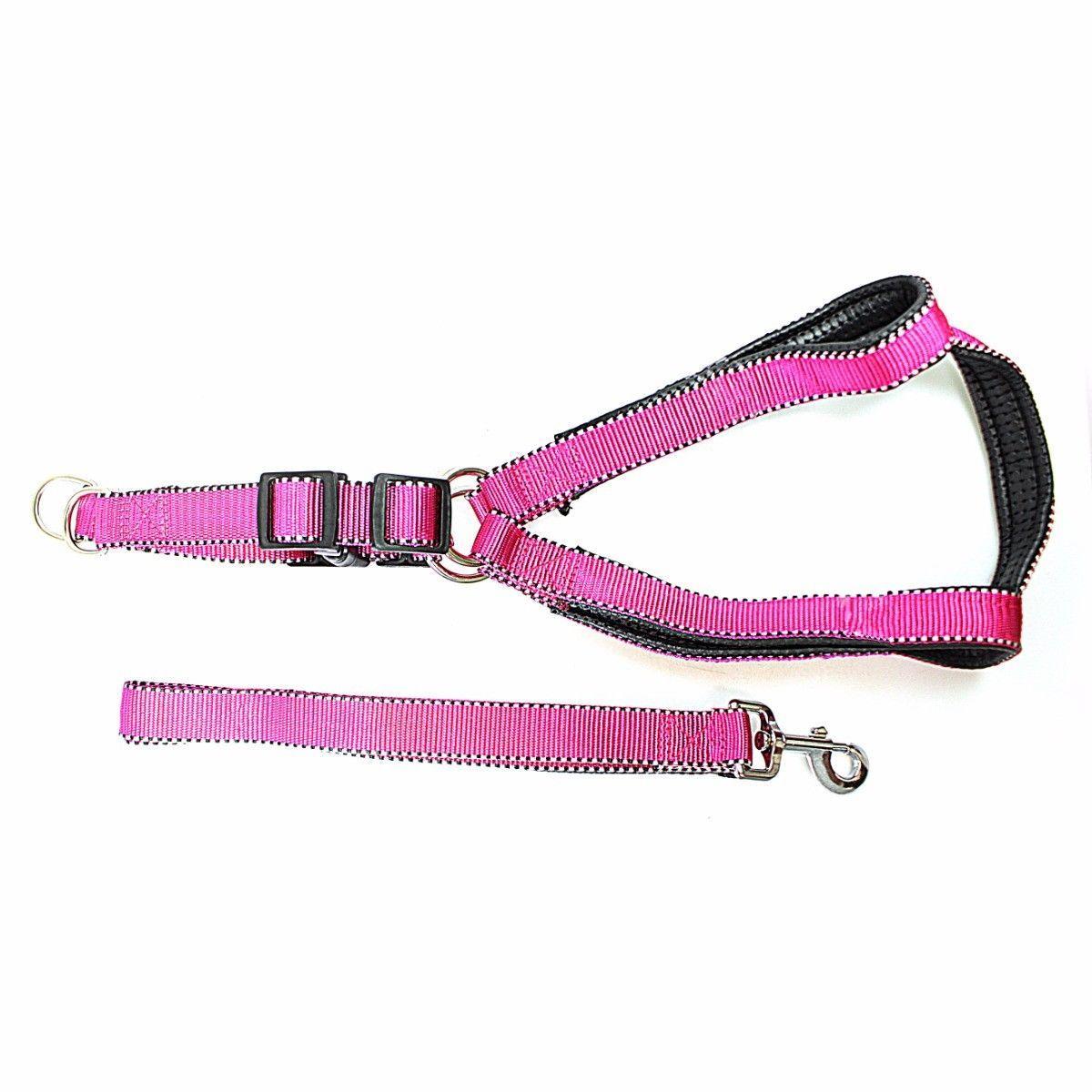 Nylon Bright Lightweight & Reflective Dog Leash With Extra Strong Harness Pet 4617