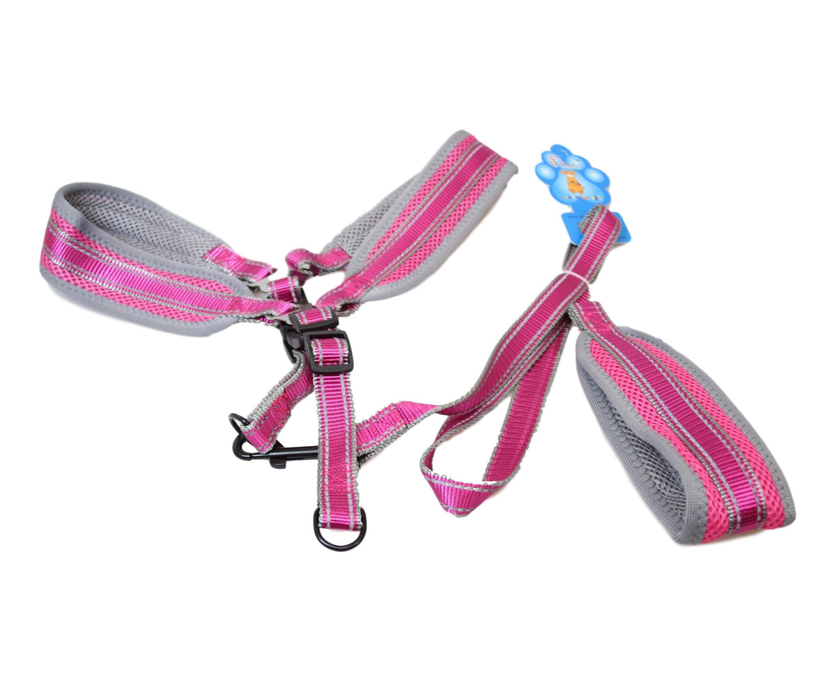 Pet Dog Soft Lead Leash With Harness Assorted Colours