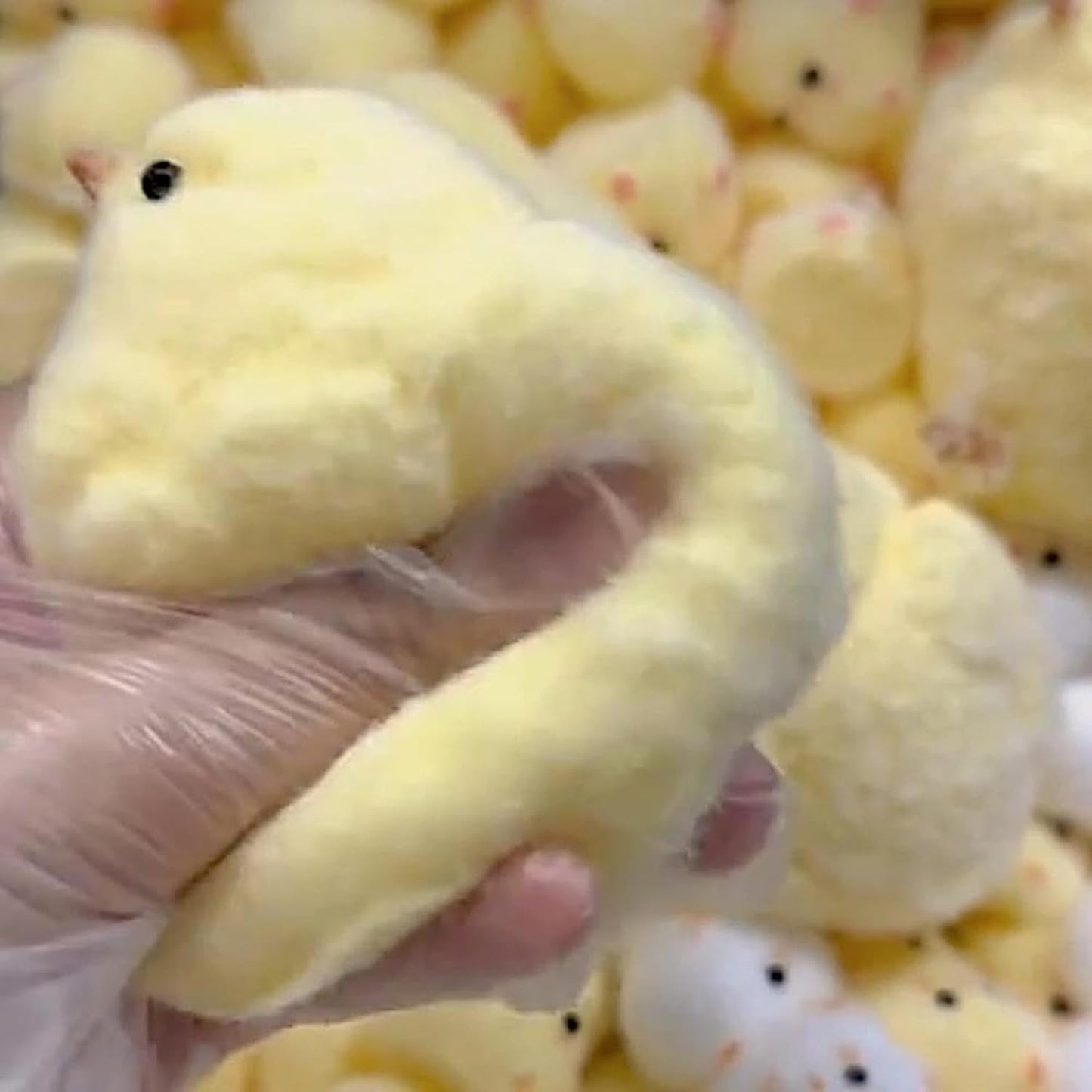 Squishy Taba Squish Cute Easter Chick Fidget Stress Relief Toy