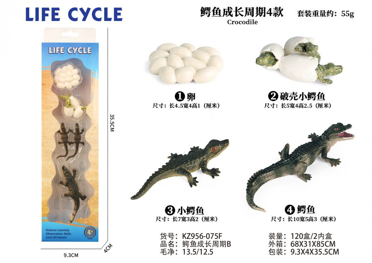 Crocodile Life Cycle Montessori Set – Educational Science Learning Toy For Kids