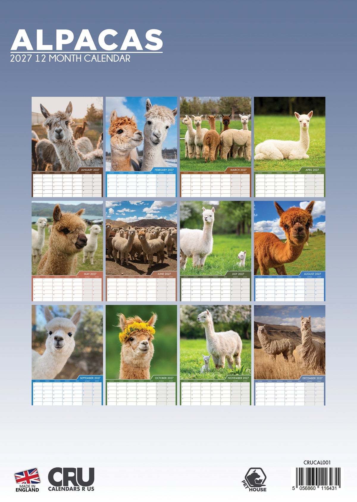 Alpacas - A3 Calendar 2027