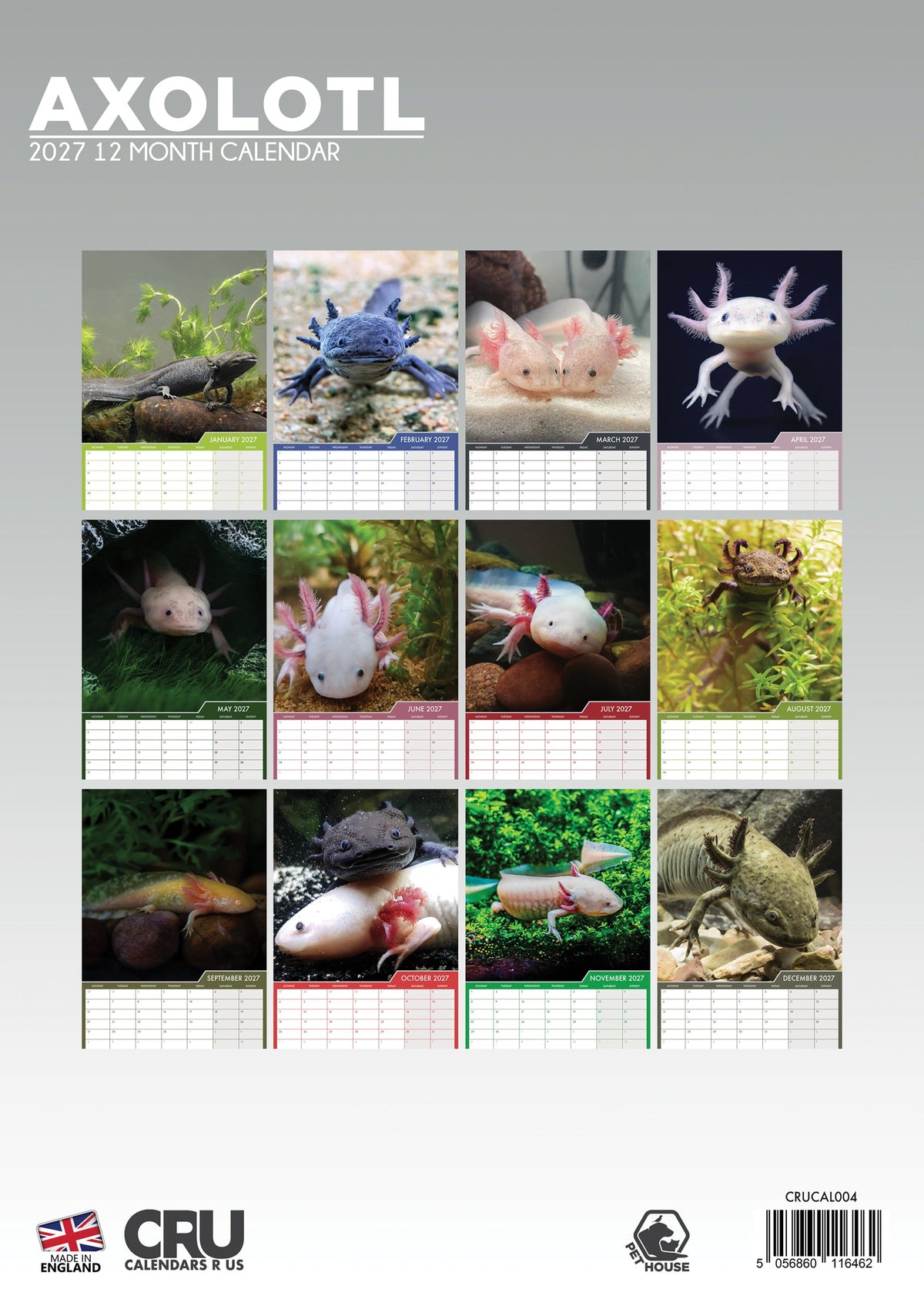 Axolotl - A3 Calendar 2027