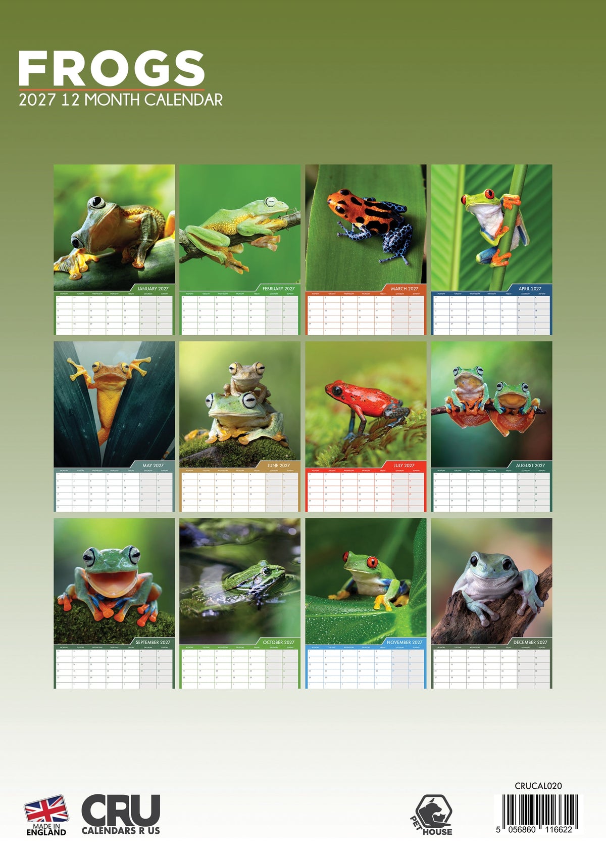 Frogs - A3 Calendar 2027