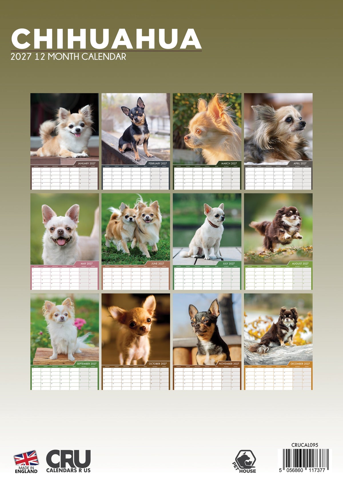 Chihuahua - A3 Calendar 2027