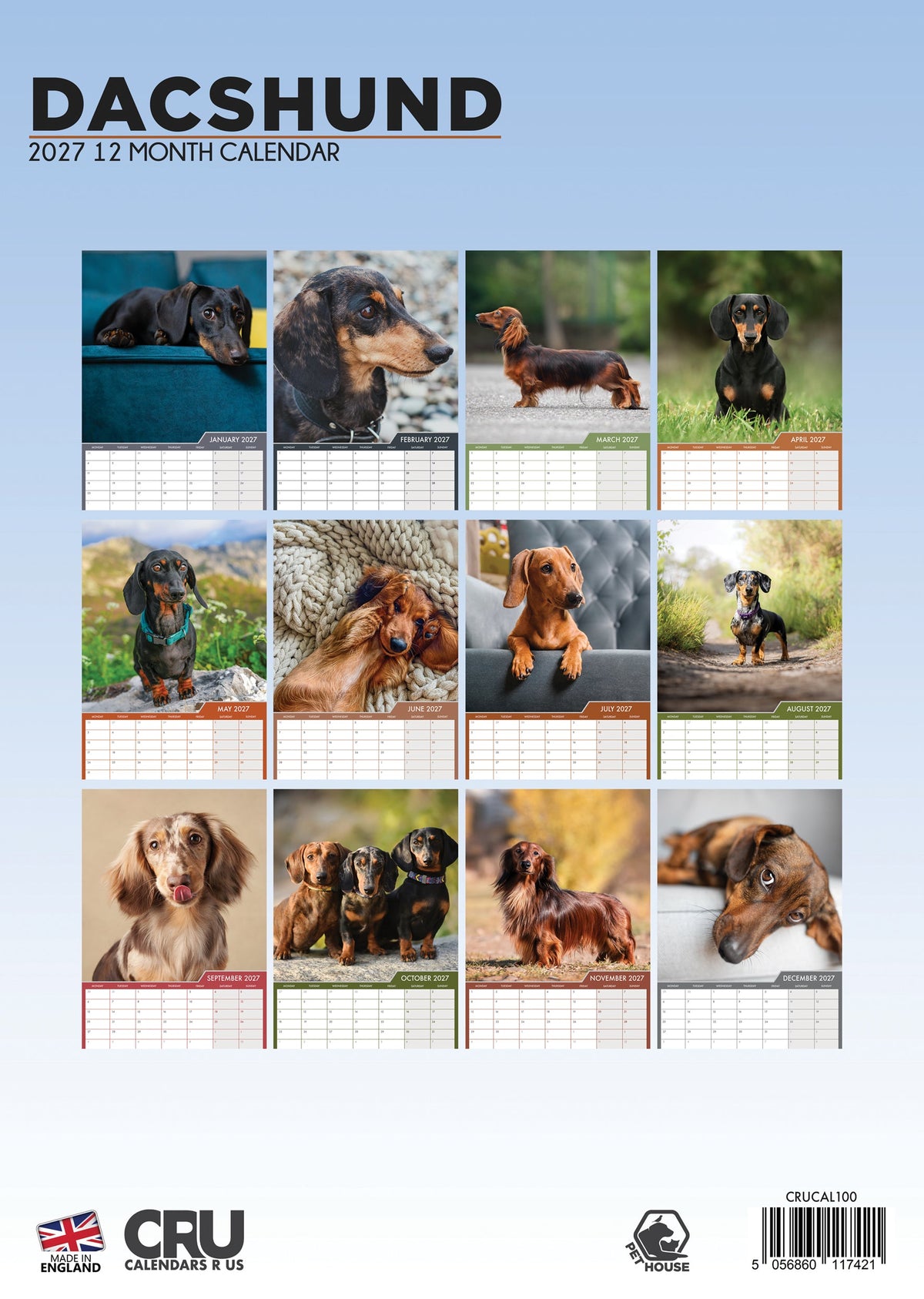 Dachshund - A3 Calendar 2027