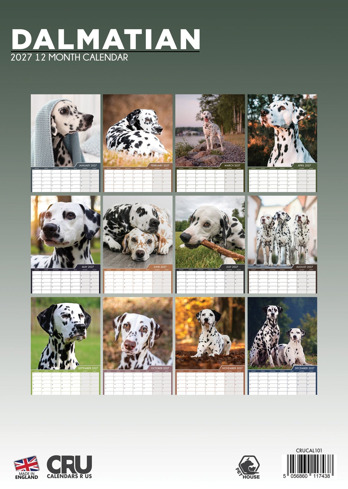 Dalmatian - A3 Calendar 2027