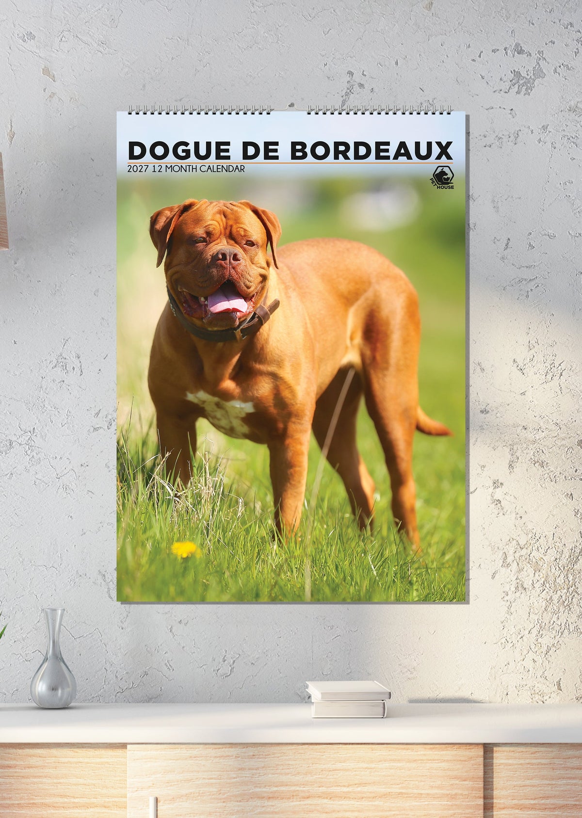 Dogue De Bordeaux - A3 Calendar 2027