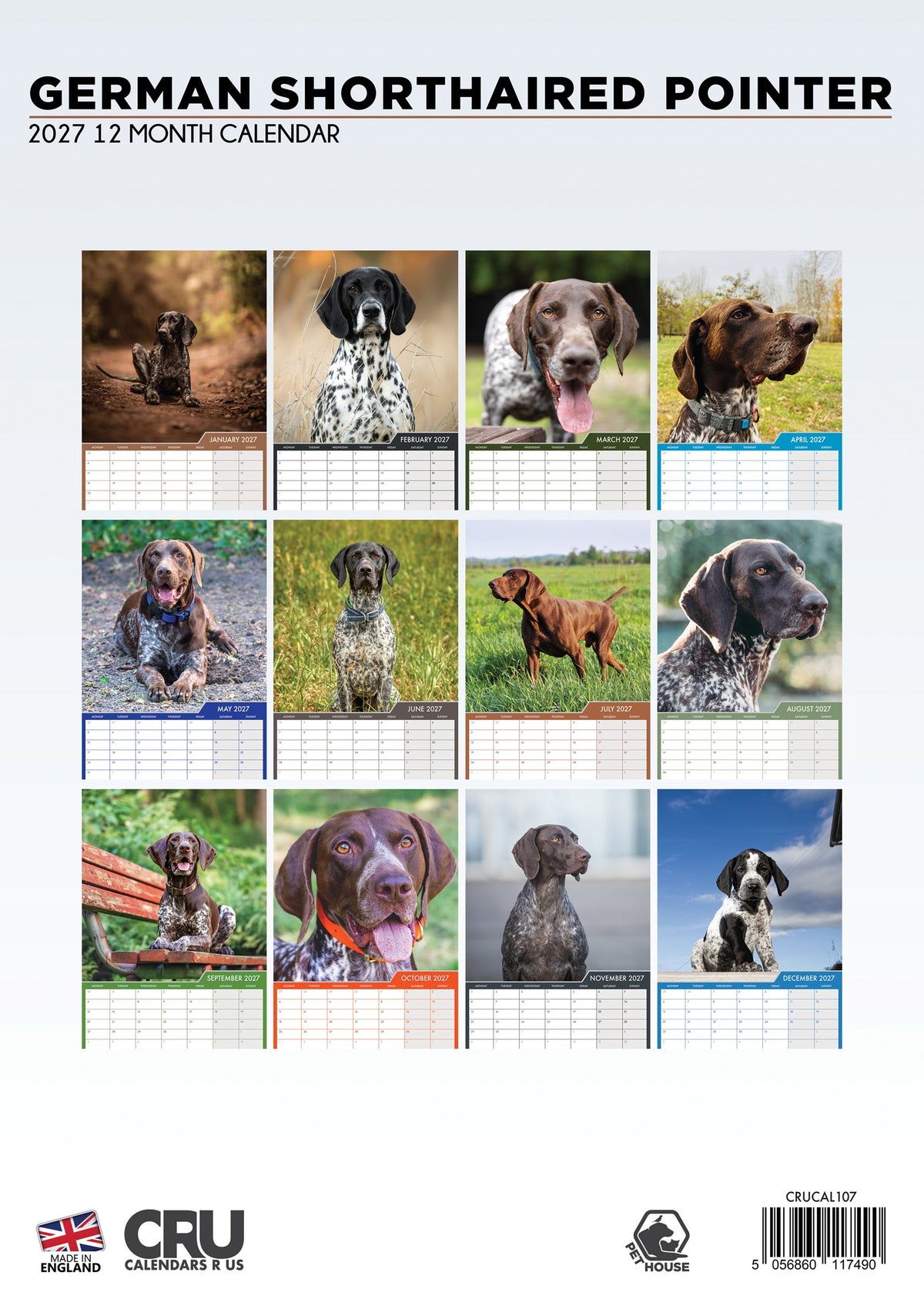 German Short Haired Pointer - A3 Calendar 2027