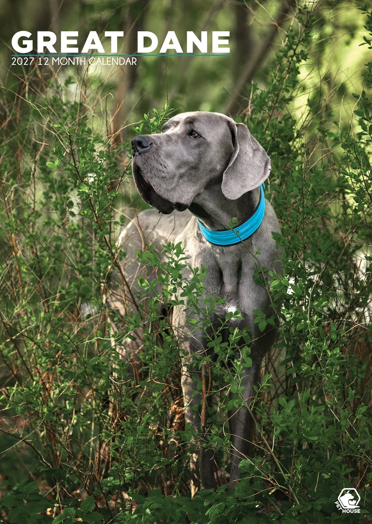 Great Dane - A3 Calendar 2027