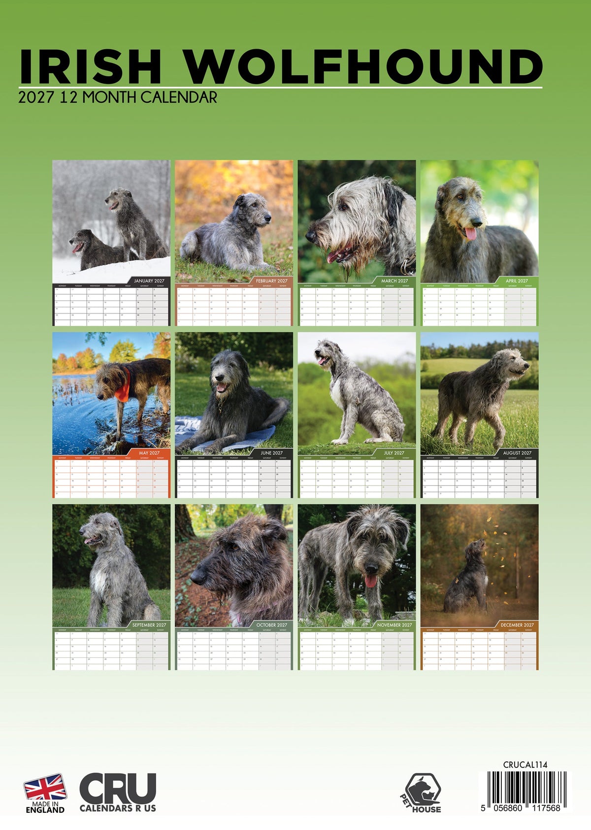 Irish Wolfhound - A3 Calendar 2027