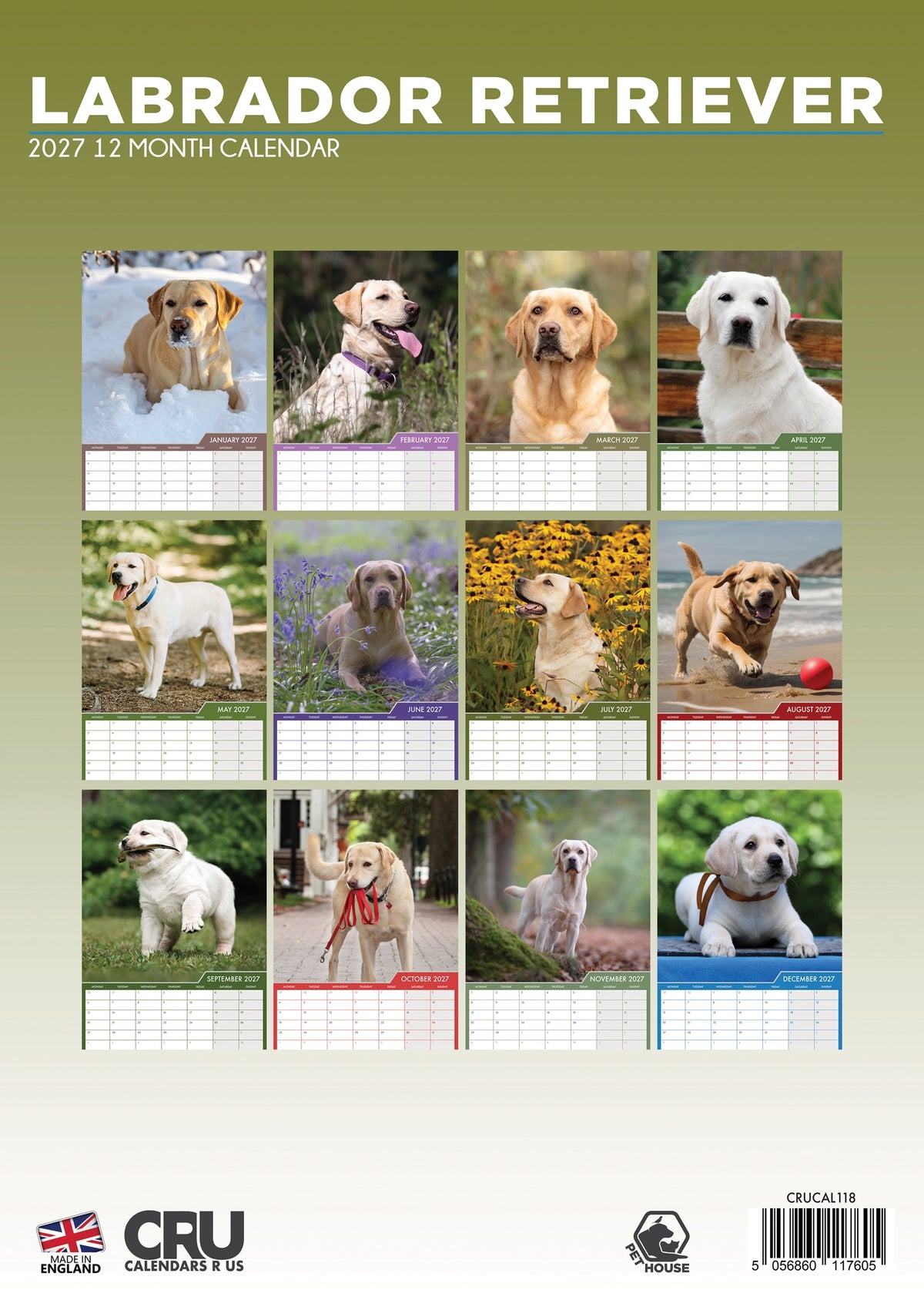 Labrador Retriever - A3 Calendar 2027