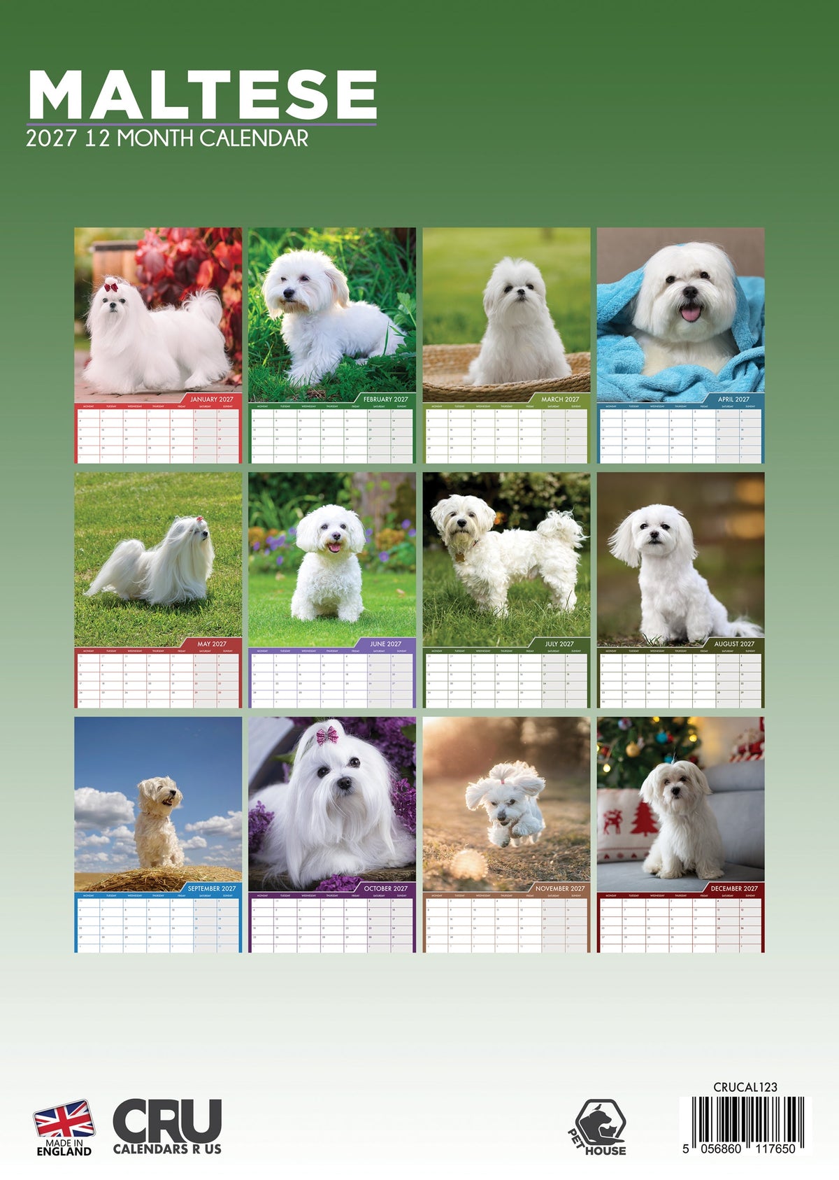 Maltese - A3 Calendar 2027