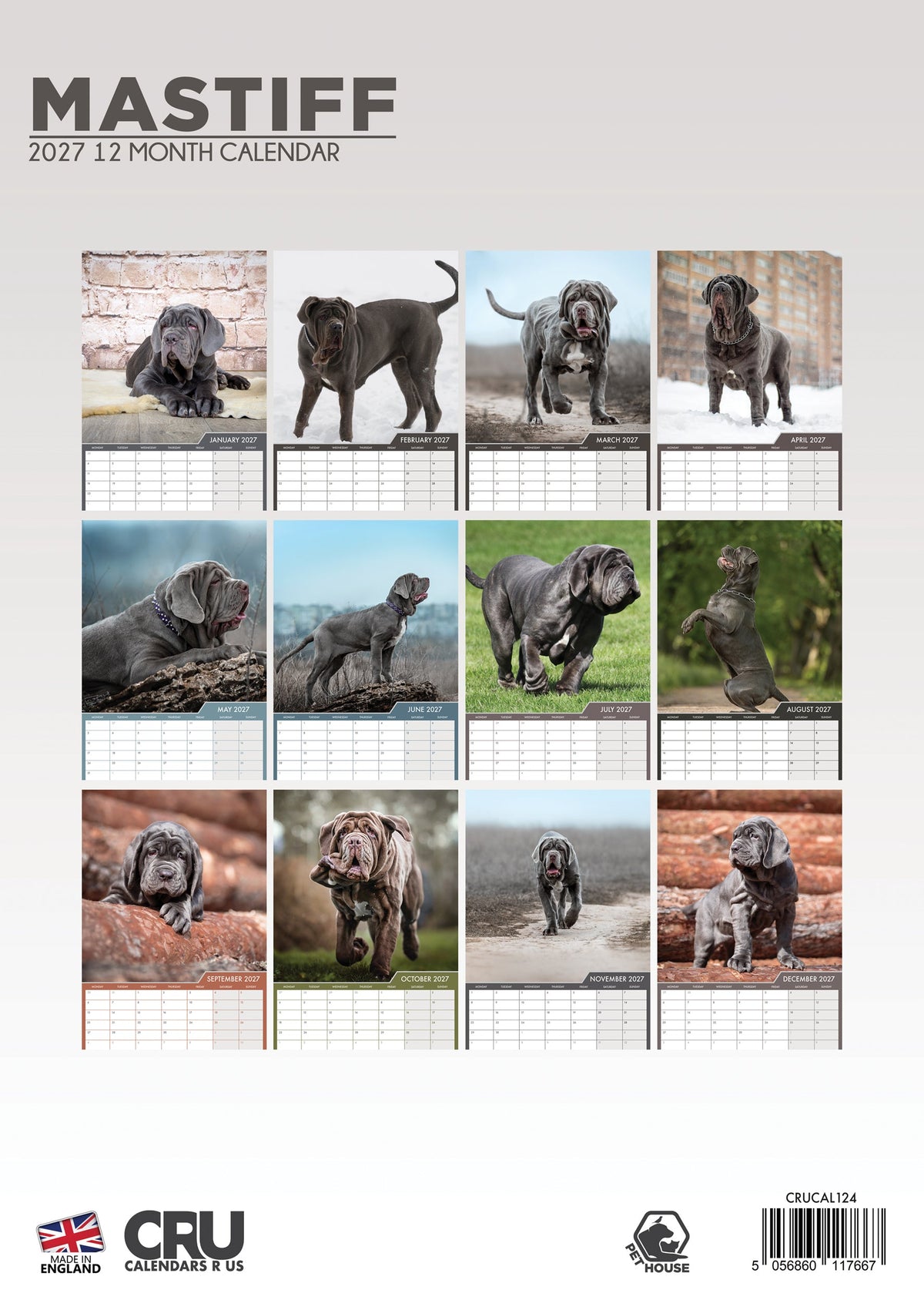 Mastiff - A3 Calendar 2027