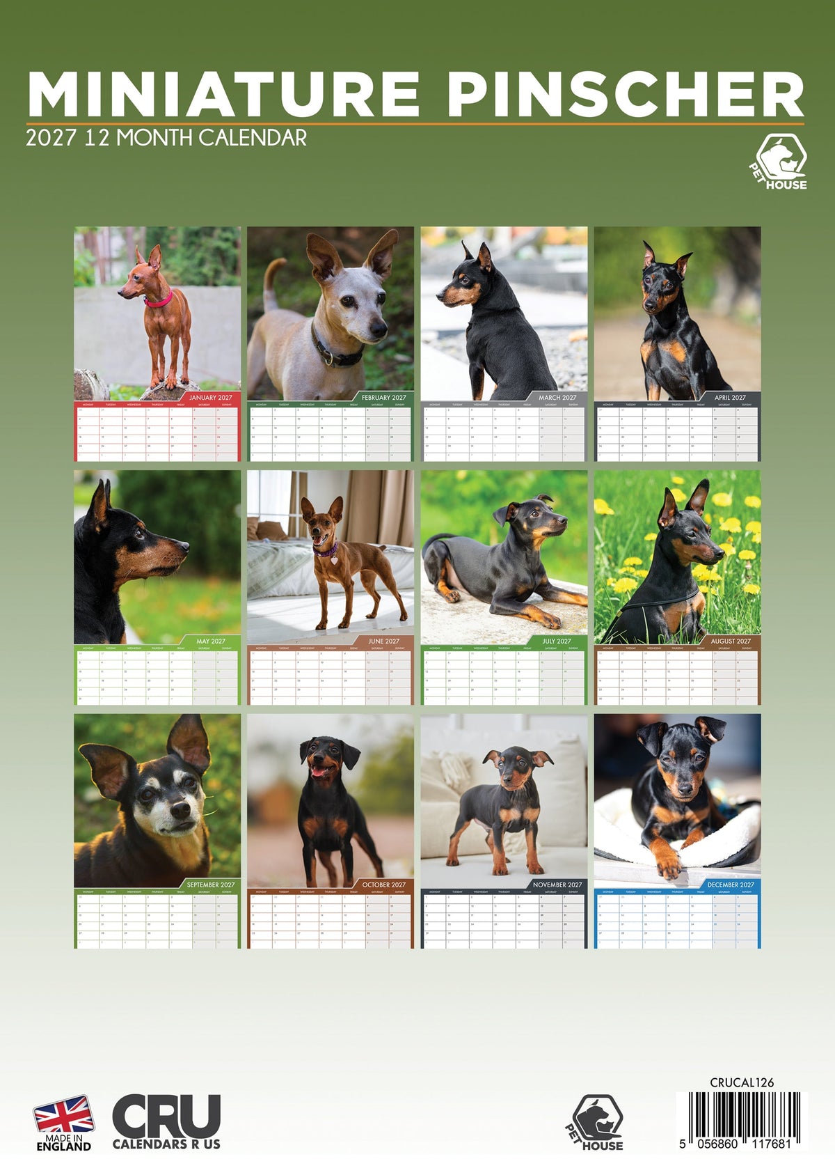 Miniature Pinscher - A3 Calendar 2027
