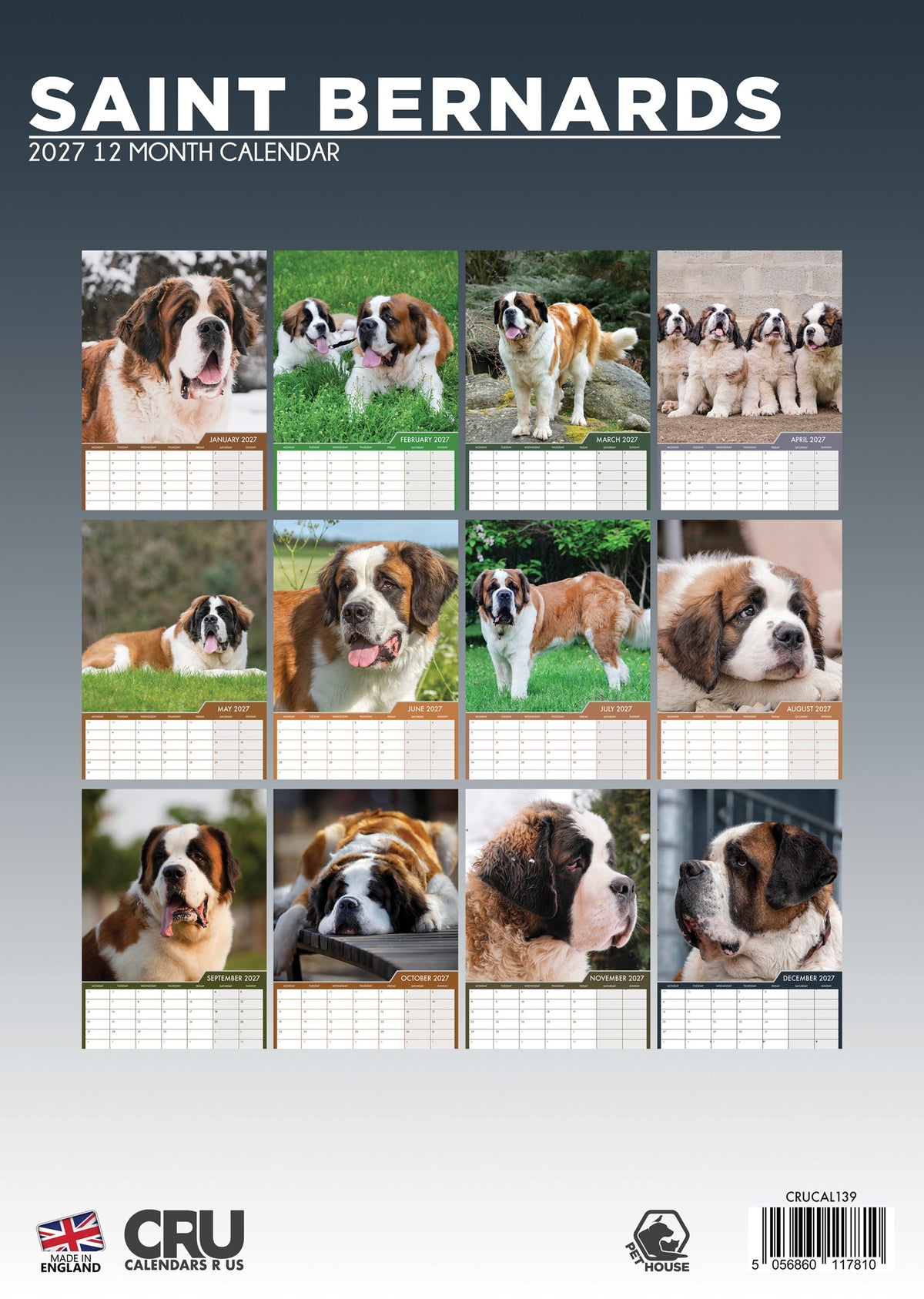 Saint Bernard - A3 Calendar 2027