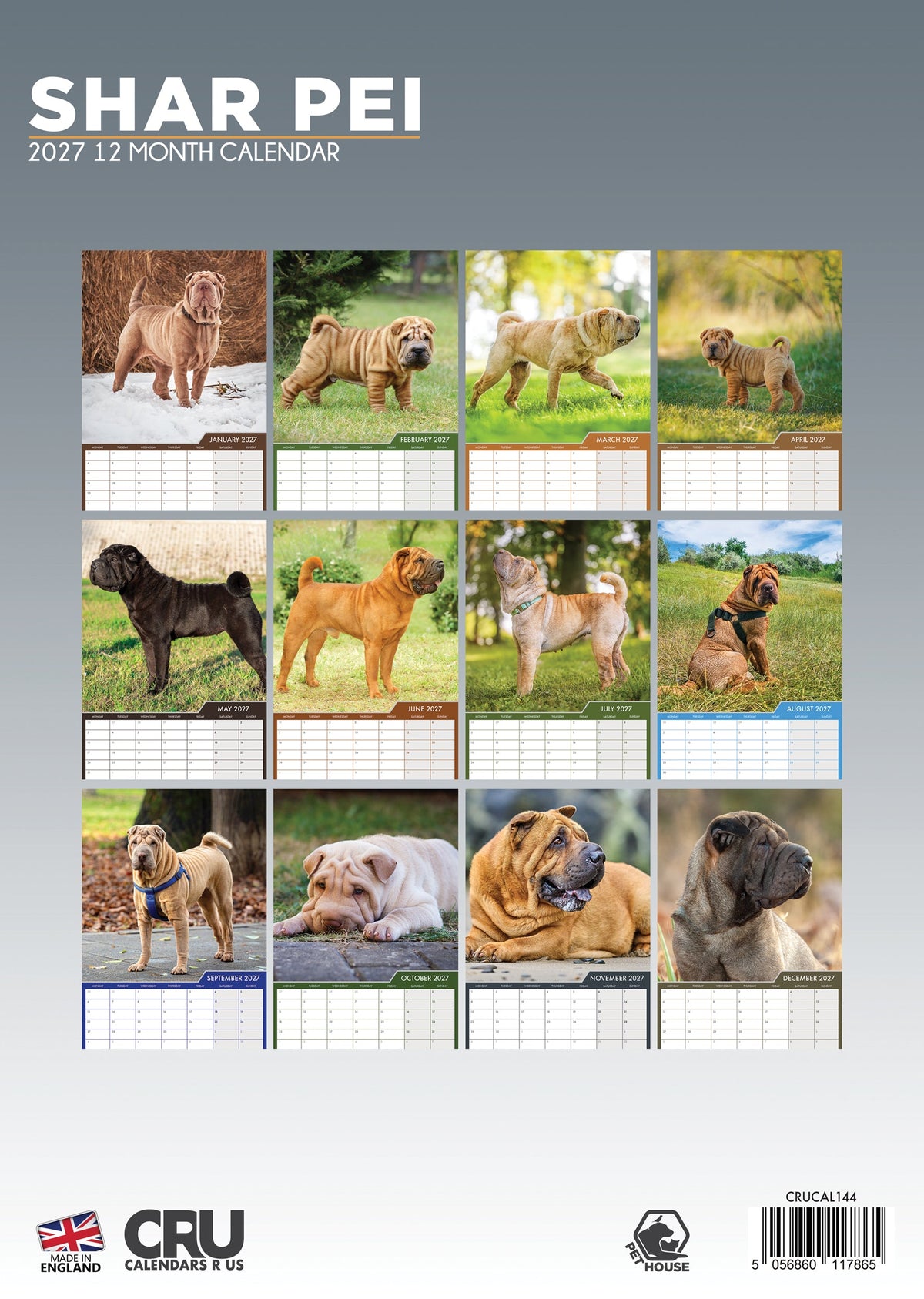 Shar Pei - A3 Calendar 2027
