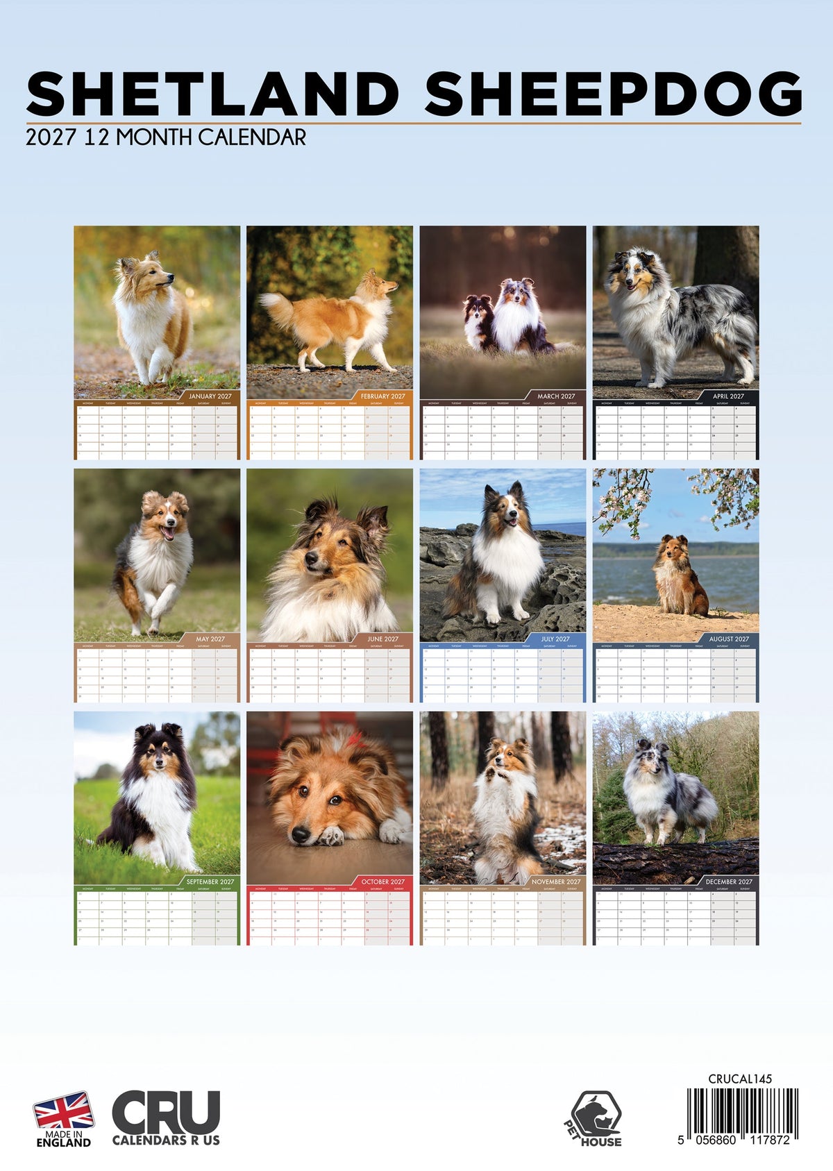 Shetland Sheepdog - A3 Calendar 2027