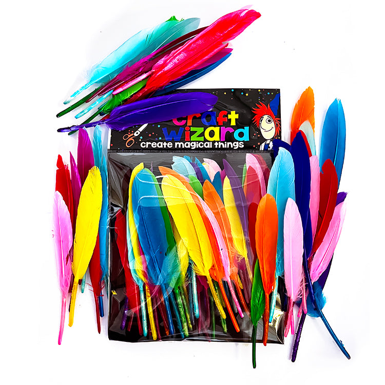 Rainbow Colours 15cms Feathers Value Pack