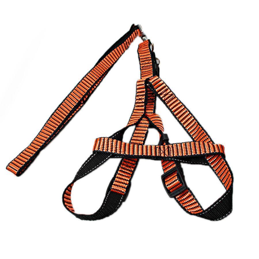 Pet Dog Leash With Harkness Assorted Colours