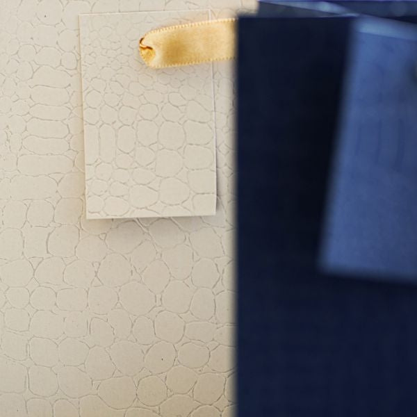 Embossed Matte Paper Gift Bag Extra Large Assorted Colours P1907