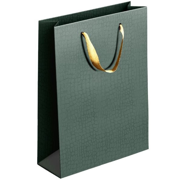 Embossed Matte Paper Gift Bag Extra Large Assorted Colours P1907