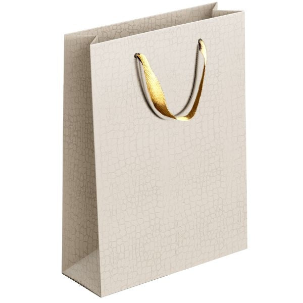 Embossed Matte Paper Gift Bag Extra Large Assorted Colours P1907