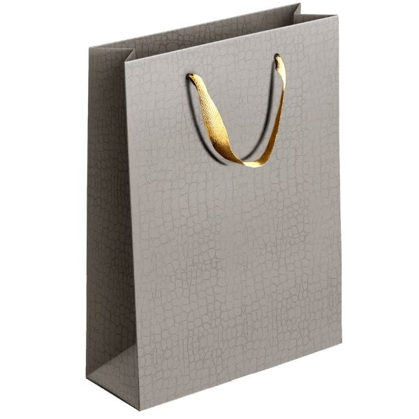 Embossed Matte Paper Gift Bag Medium Assorted Colours P1905