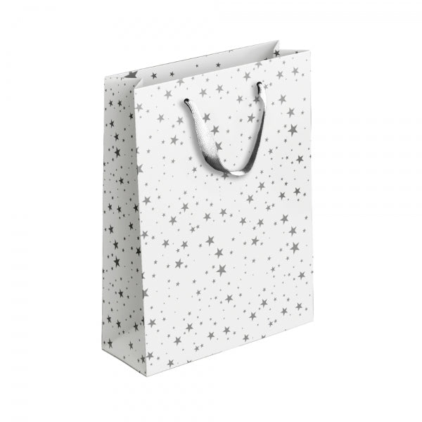 Gold / Silver Patterned Paper Gift Bag Medium Assorted Designs P1910