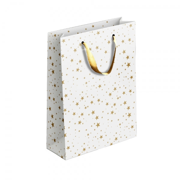 Gold / Silver Patterned Paper Gift Bag Medium Assorted Designs P1910
