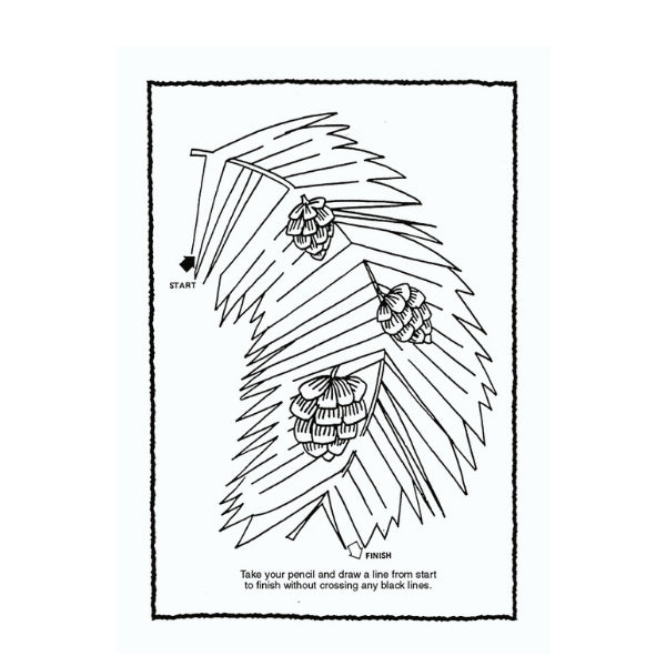 Jumbo Activity Book 1 & 2 27 x 20 x 0.7 cm Assorted Designs P2152