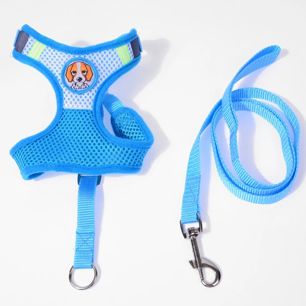 Dog Leash Reflective With Soft Harness Vest Size Large Assorted Colours 93cm 6710L