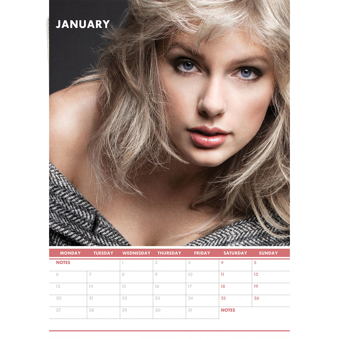 Taylor Swift Calendar 2025 - A3