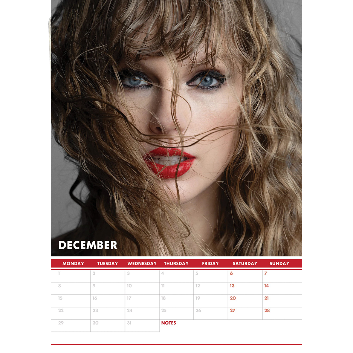 Taylor Swift Calendar 2025 - A3