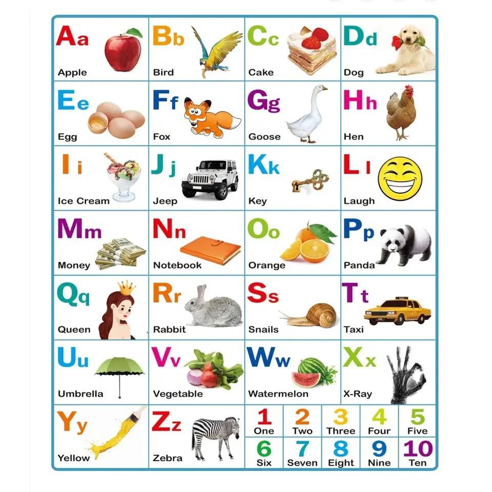 Kids Alphabet Learning Wall Chart