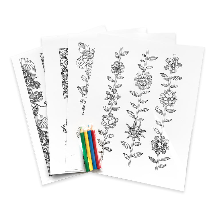 Flowers And Borders Colour In Sticker Bumper Pack