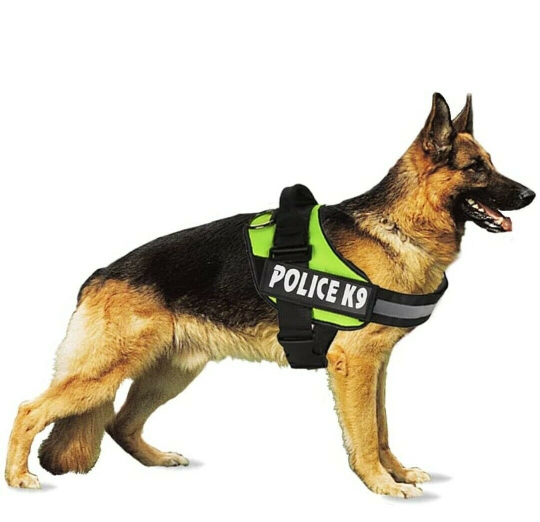 Police K9 Dog Harness Multi Colours Dog Harness Large Assorted Colours K9L