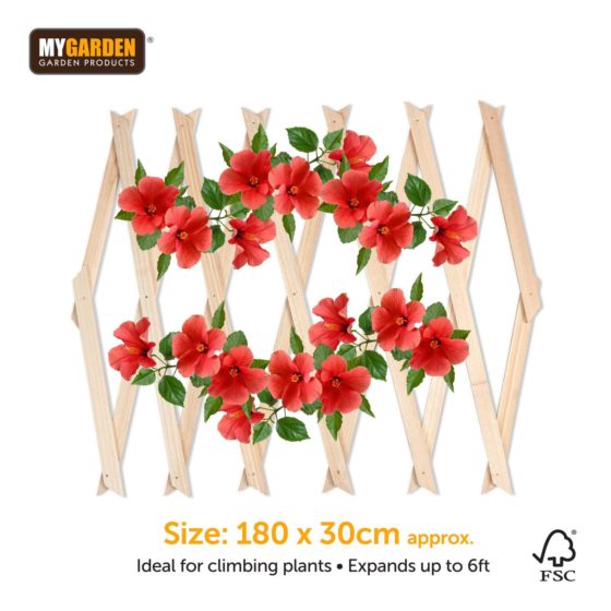 Garden Expanding Wooden Trellis Natural 180 X 30 Cm (Parcel Rate)