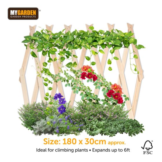 Garden Expanding Wooden Trellis Natural 180 X 30 Cm (Parcel Rate)