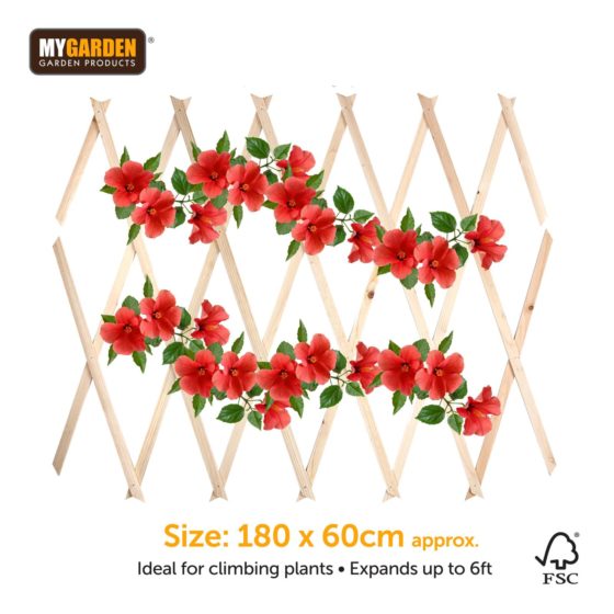 Garden Expanding Wooden Trellis Natural 180 X 60 Cm (Parcel Rate)