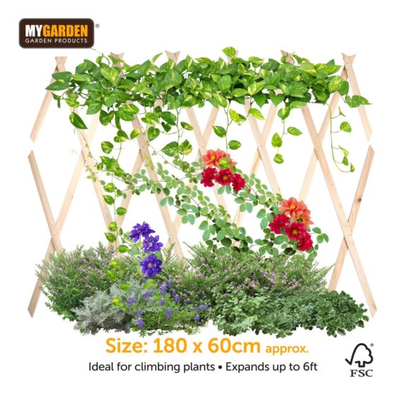 Garden Expanding Wooden Trellis Natural 180 X 60 Cm (Parcel Rate)