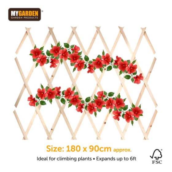 Garden Expanding Wooden Trellis Natural 180 X 90 Cm (Parcel Rate)