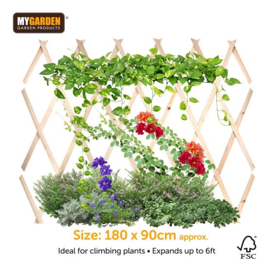 Garden Expanding Wooden Trellis Natural 180 X 90 Cm (Parcel Rate)