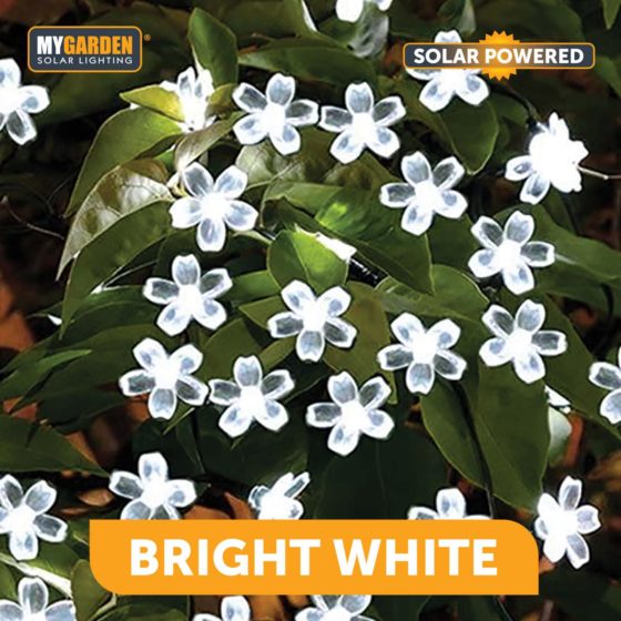Garden Solar Powered Petal Lights Bright White 71cm 36 LED 1054