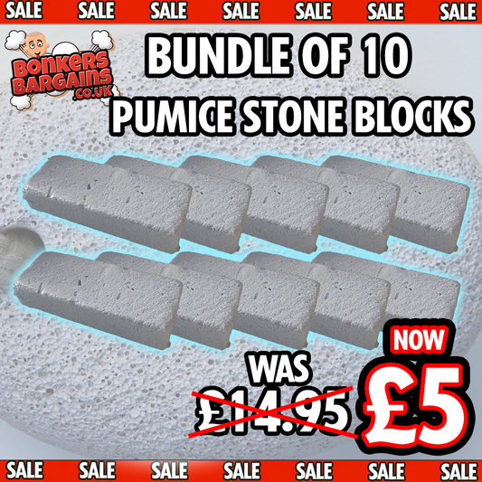 Bundle of 10 Pumice Stone Blocks