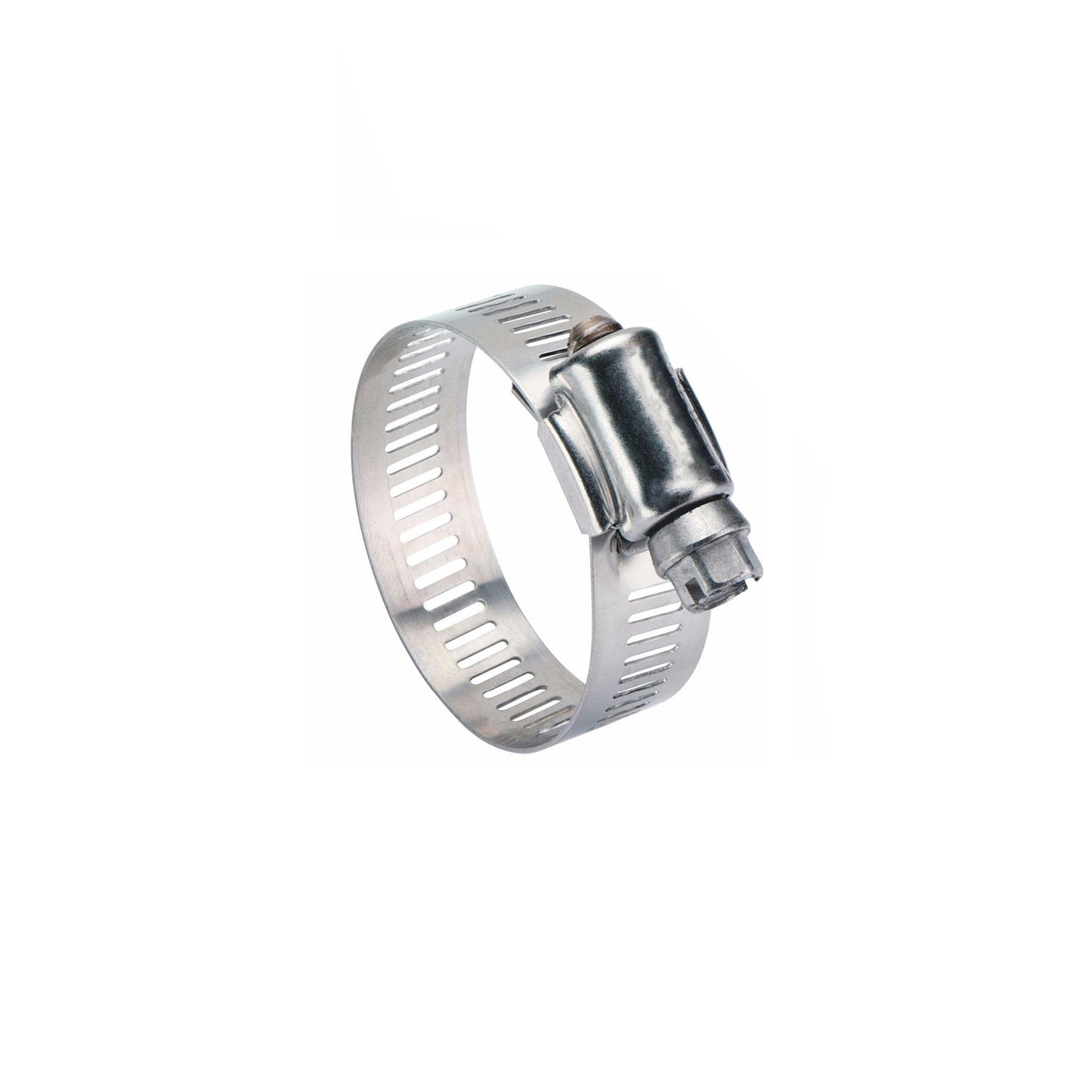 Stainless Steel Hose Clamp Pack of 10 0600