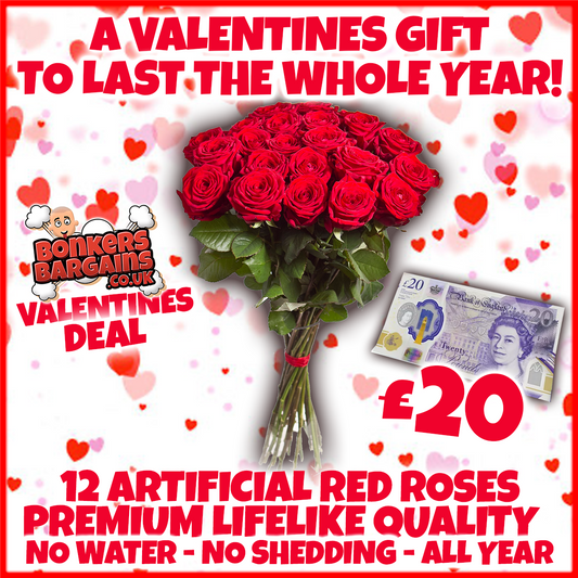 Valentines Deal - 12 Red Roses