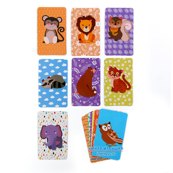 Magnetic Book - Animal Edition - 14 Cards & 45 Magnets