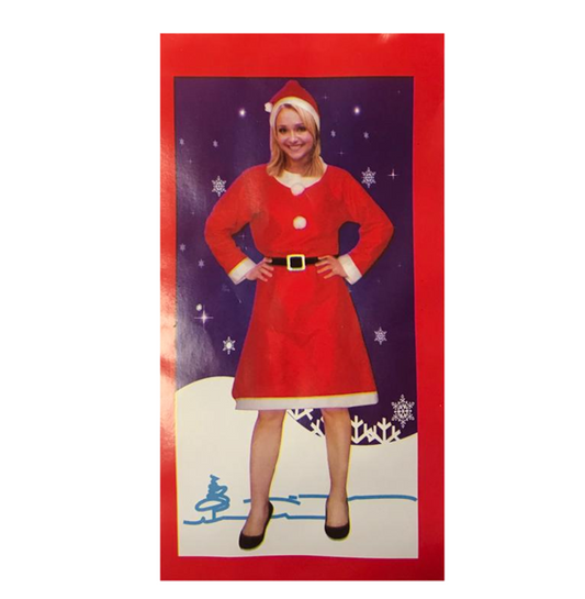 Christmas Santa Claus Lady Costume Dress One Size 1763
